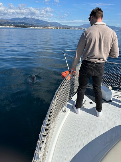 Picture 26 for Activity Estepona: Dolphins Searching Sea Cruise with Drink & Snacks