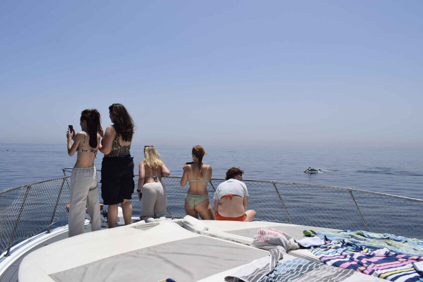 Picture 12 for Activity Estepona: Dolphins Searching Sea Cruise with Drink & Snacks