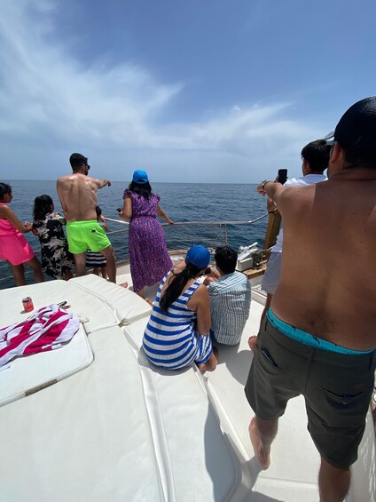 Picture 16 for Activity Estepona: Sea Cruise in Search of Dolphins/Drink & Snacks