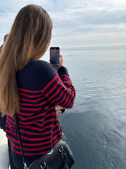 Picture 29 for Activity Estepona: Dolphins Searching Sea Cruise with Drink & Snacks