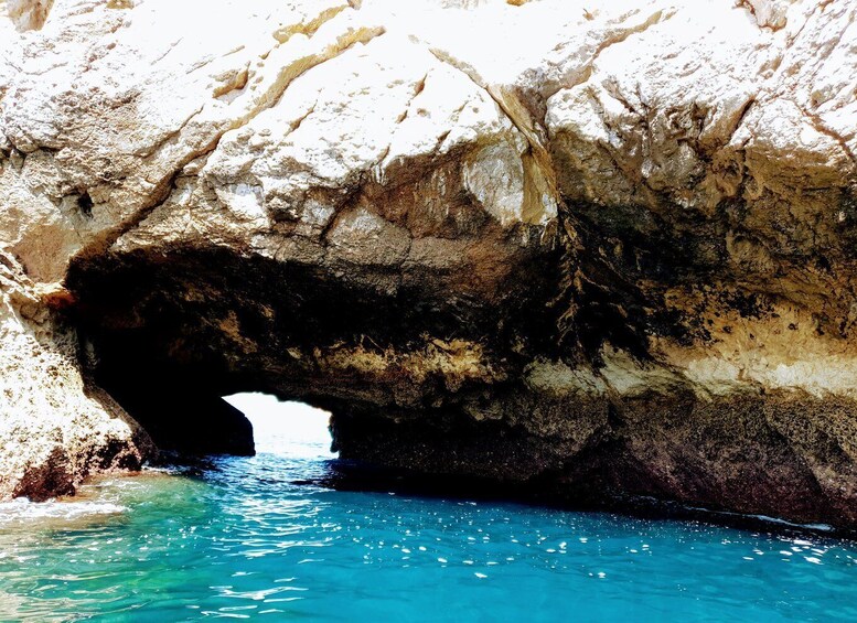 Picture 1 for Activity Boat trip to the caves Sesimbra