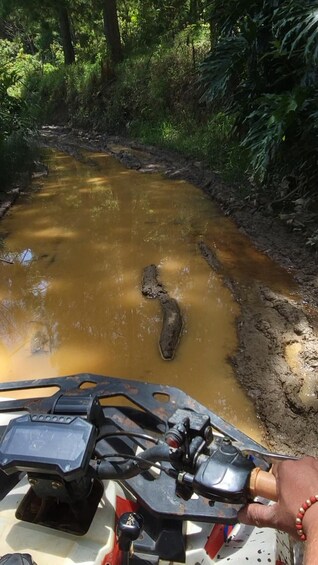 Picture 13 for Activity Atv Adventure from Medellin