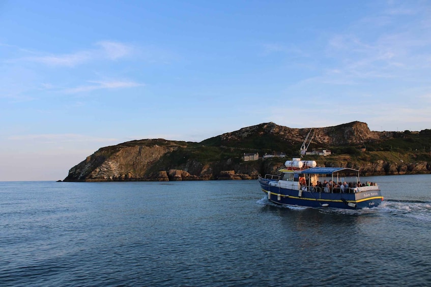 Picture 1 for Activity Dublin: Howth Cliffs and Lighthouse Cruise