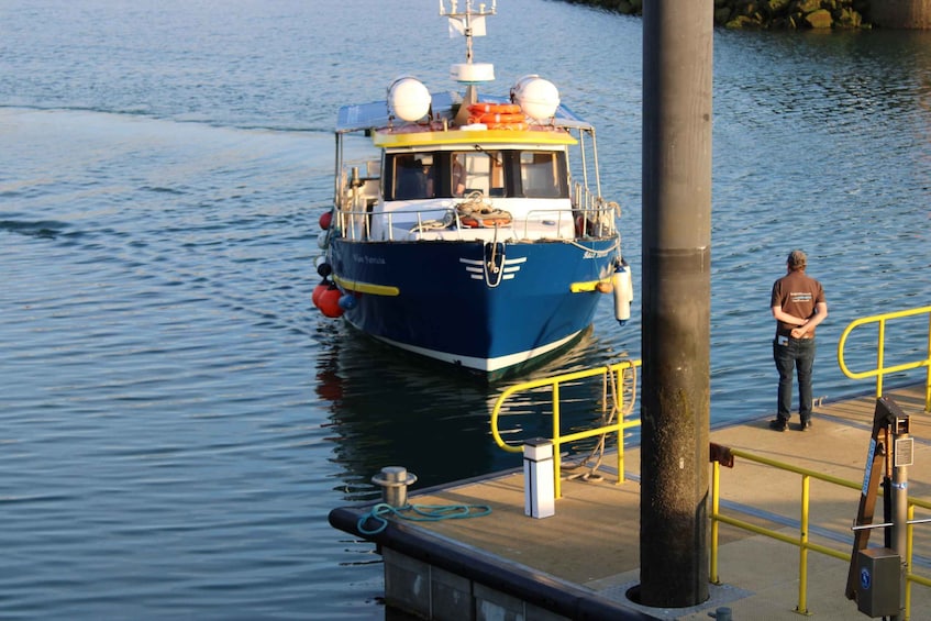 Picture 2 for Activity Dublin: Howth Cliffs and Lighthouse Cruise