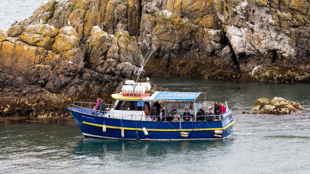 Picture 11 for Activity Dublin: Howth Cliffs and Lighthouse Cruise