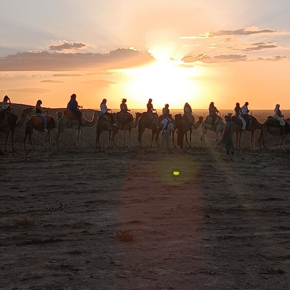 Picture 3 for Activity Marrakech: Quad Bike & Camel with dinner show & sunset