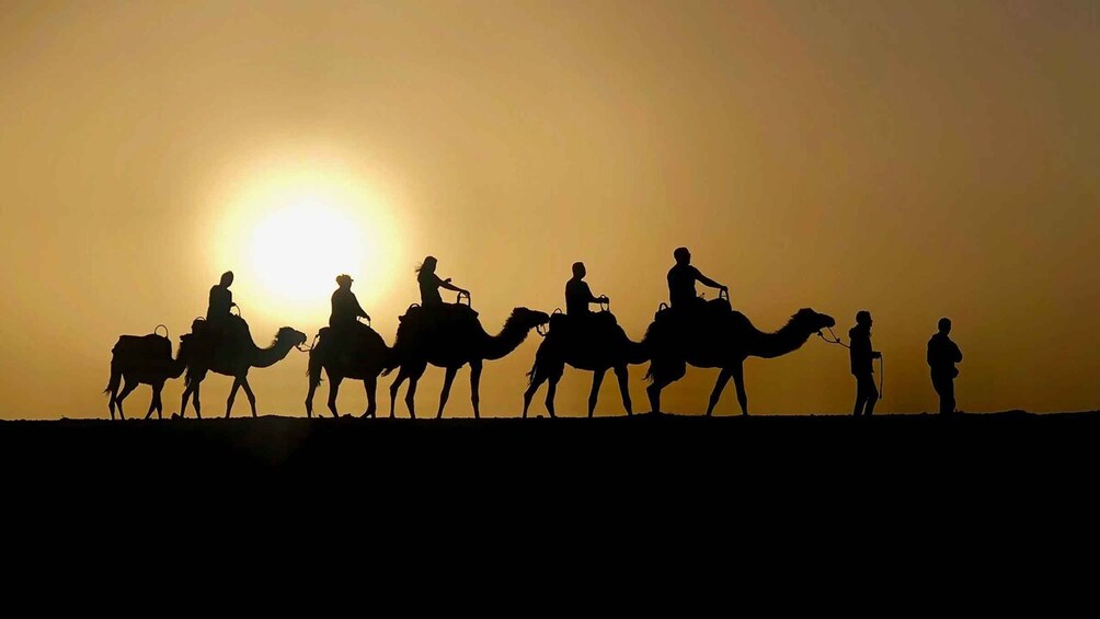 Marrakech: Quad Bike & Camel with dinner show & sunset