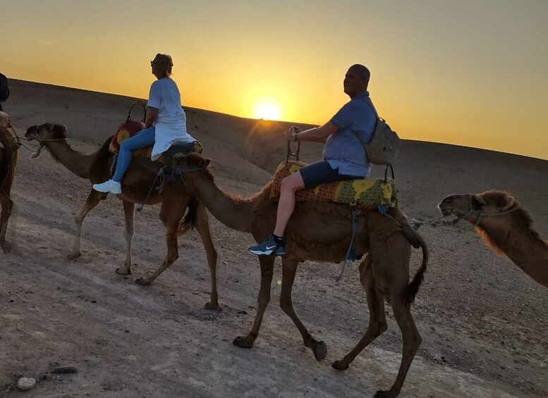 Picture 2 for Activity Marrakech: Quad Bike & Camel with dinner show & sunset