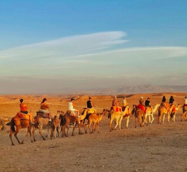 Picture 4 for Activity Marrakech: Quad Bike & Camel with dinner show & sunset