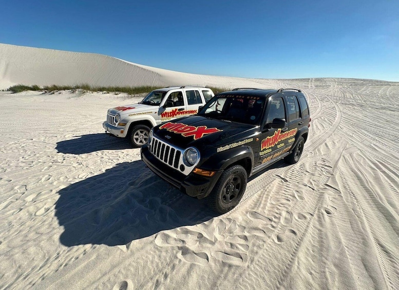 Picture 4 for Activity CAPE TOWN: JEEP 4X4 TOURS IN ATLANTIS DUNES