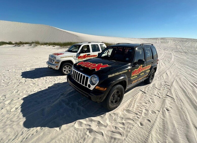 Picture 4 for Activity CAPE TOWN: JEEP 4X4 TOURS IN ATLANTIS DUNES