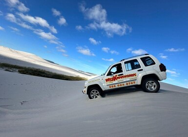 CAPE TOWN: 4X4 JEEPTOURS IN DE ATLANTISCHE DUINEN