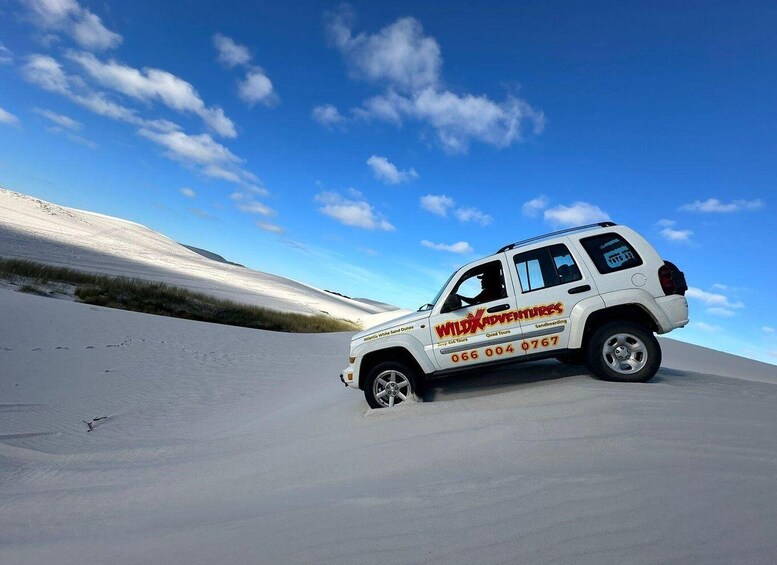 CAPE TOWN: JEEP 4X4 TOURS IN ATLANTIS DUNES