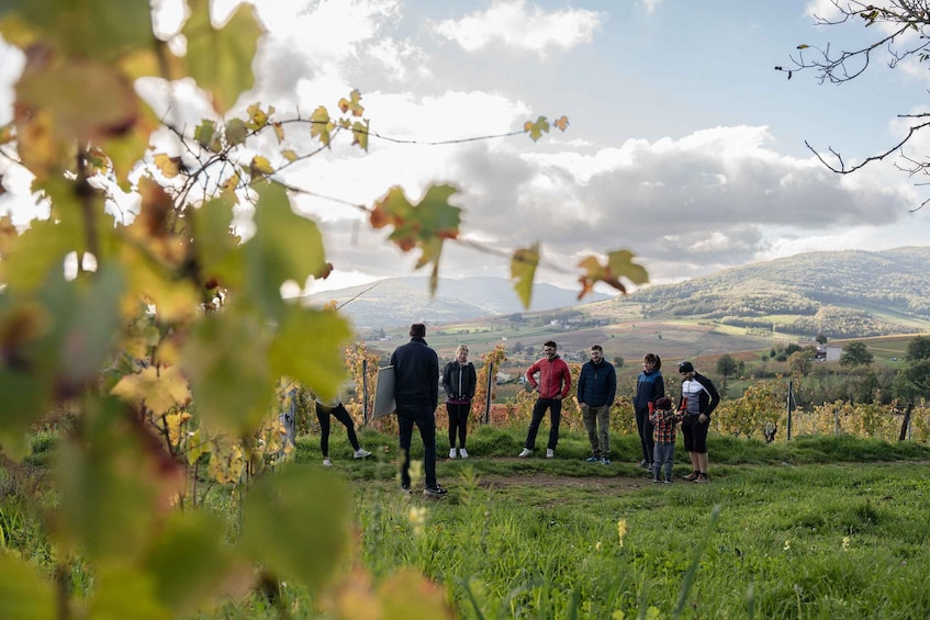 Picture 4 for Activity Half day bike guided in Beaujolais - Mont Brouilly and wine