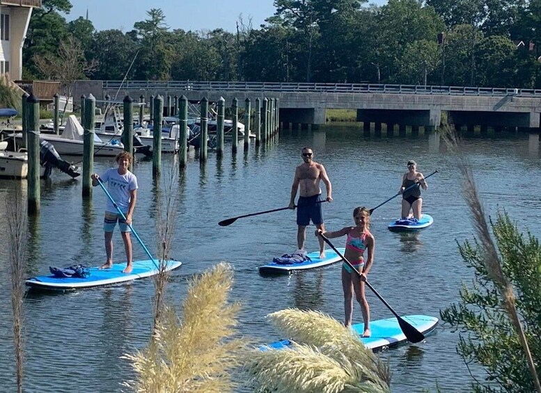 Picture 1 for Activity Virginia Beach: Morning Stand-Up Paddleboarding Tour