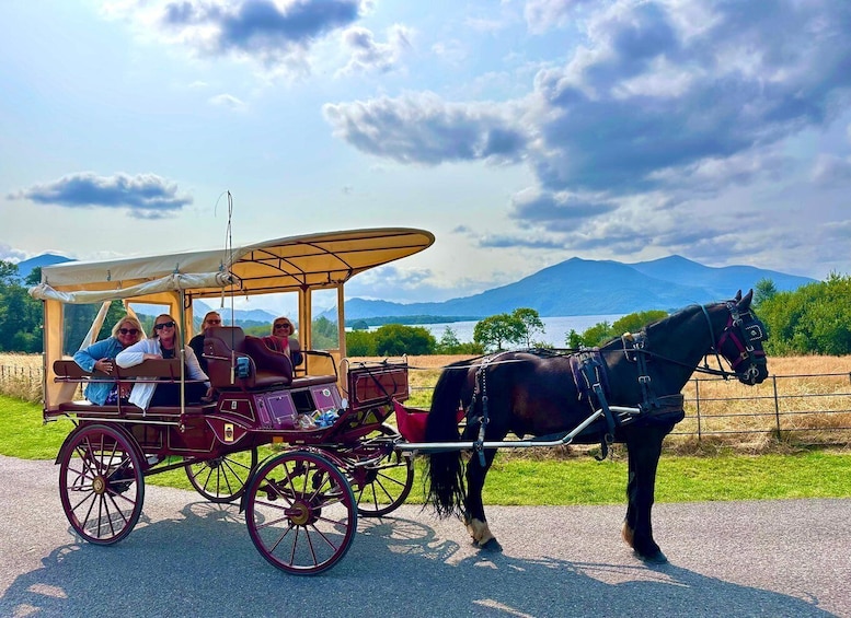 Picture 2 for Activity Killarney: Killarney National Park Private Tour