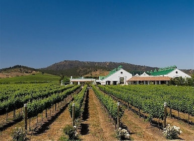 Private Wine Tour Casablanca Valley