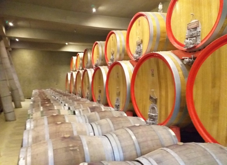 Picture 19 for Activity Casablanca Valley Wine Experience