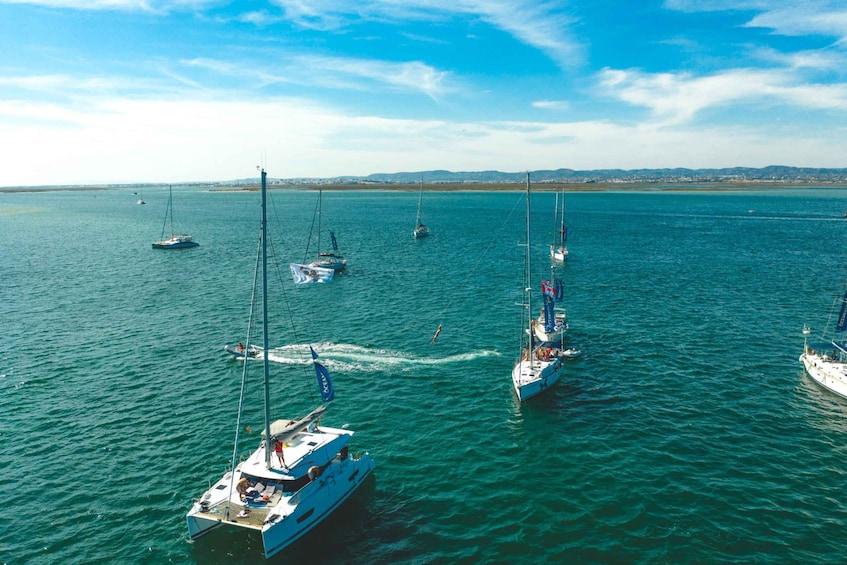 Picture 7 for Activity Boat in Algarve - Luxury Catamaran - Portimão