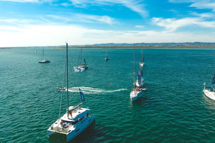 Picture 11 for Activity Boat in Algarve - Luxury Catamaran - Portimão