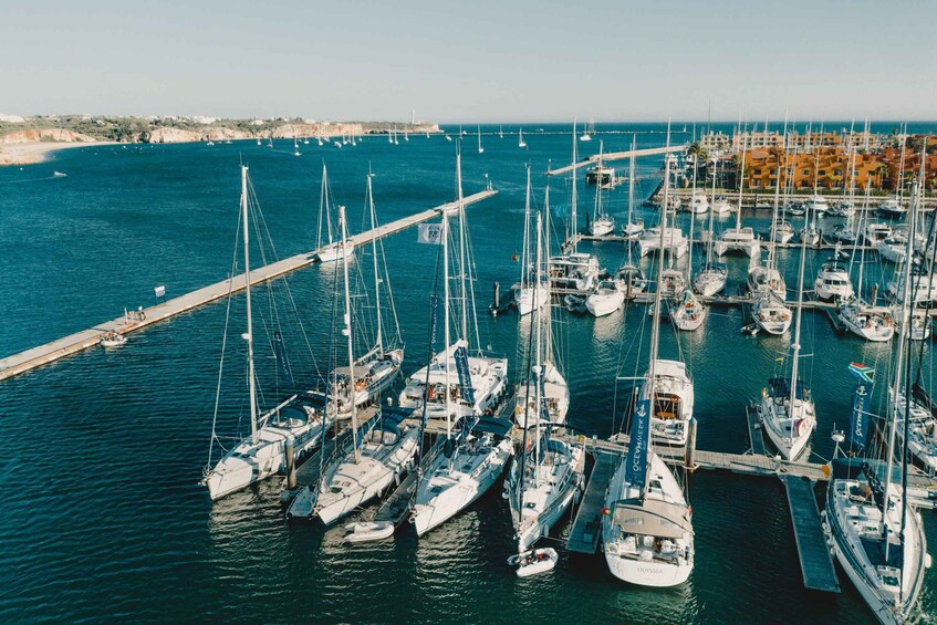 Picture 4 for Activity Boat in Algarve - Luxury Catamaran - Portimão