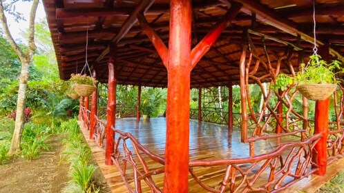 Blue River Resort: 5Day Yoga, Hot Springs, Waterfalls & more