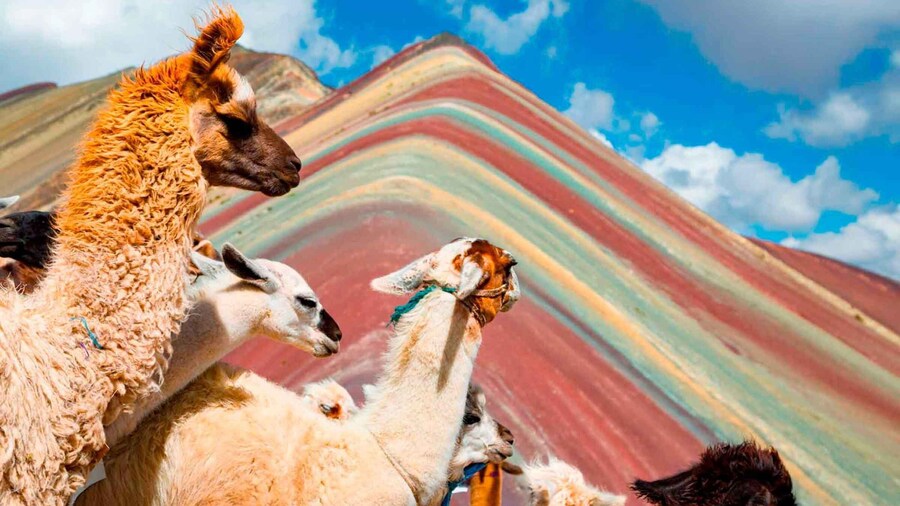 Cusco: Guided Rainbow Mountain Hike with Breakfast and Lunch