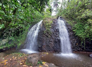 Tahiti Classical Coastal Full Day Private Tour