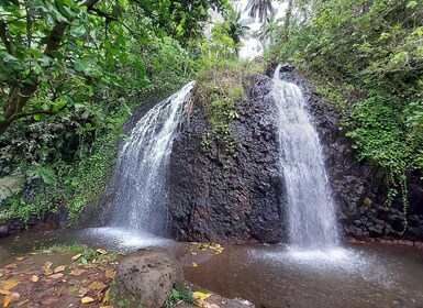 Excursion privée d'une journée sur la côte classique de Tahiti