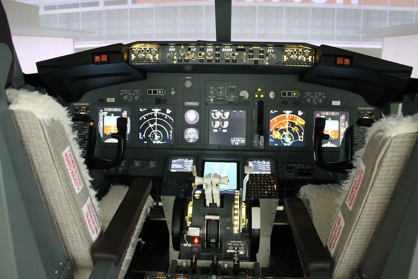 Picture 4 for Activity Boeing 737-800 Professional simulator - 30 minutes
