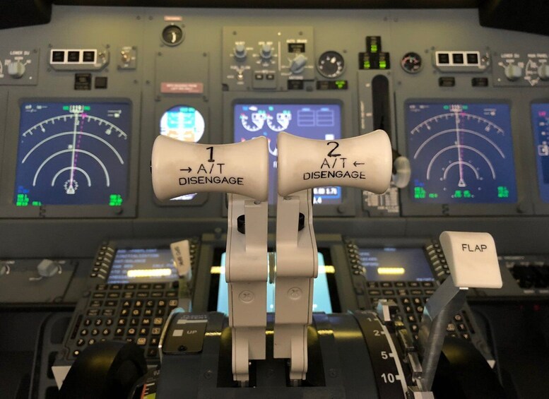 Picture 2 for Activity Boeing 737-800 Professional simulator