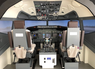 Simulador profesional del Boeing 737-800 - 30 minutos