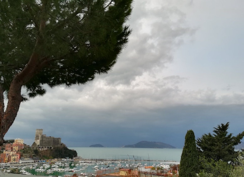 Picture 22 for Activity LERICI - Visit with beach & food-tasting near La Spezia