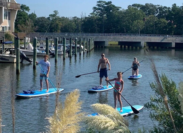 Picture 3 for Activity Virginia Beach: Sunset Stand-Up Paddleboarding Tour