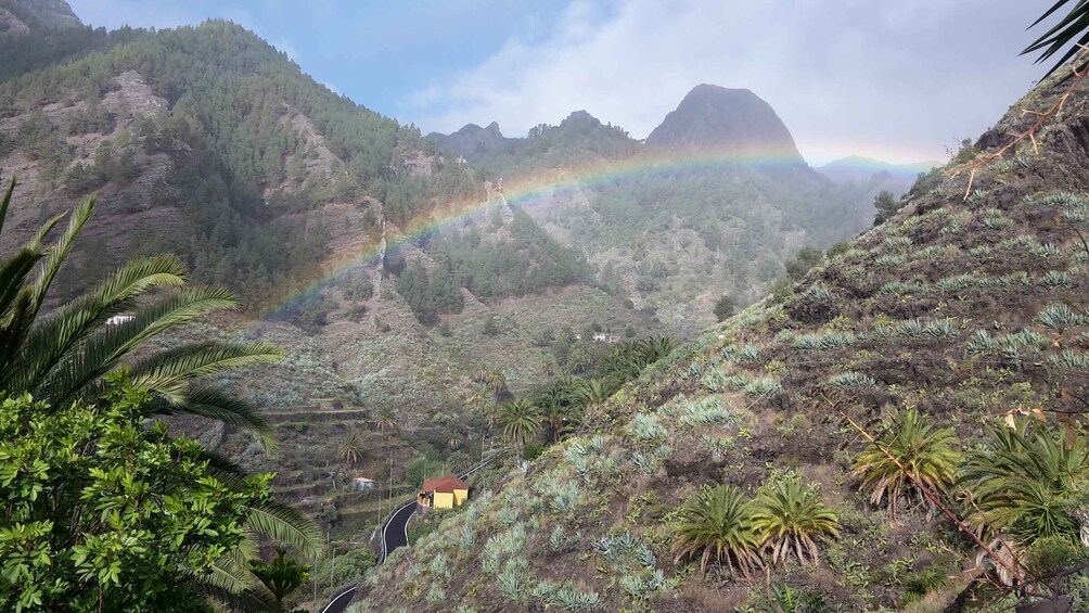 Picture 8 for Activity La Gomera Rural Life Experience: Mojo Workshop