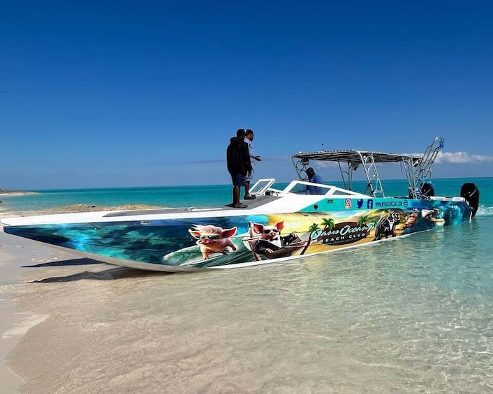 Picture 2 for Activity Nassau: Reef Snorkeling, Turtles, Lunch & Private Beach Club