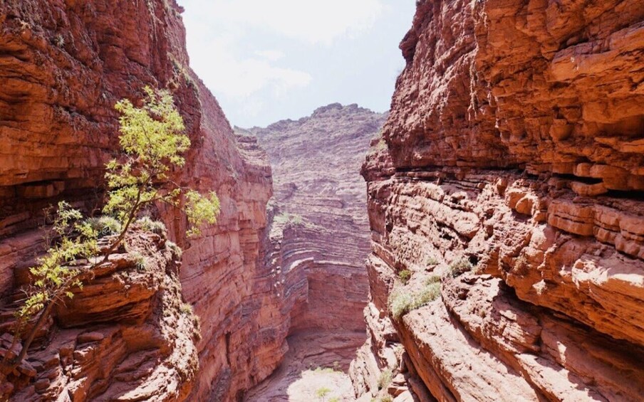 Picture 6 for Activity From Salta:Cafayate and the imposing Quebrada de las Conchas