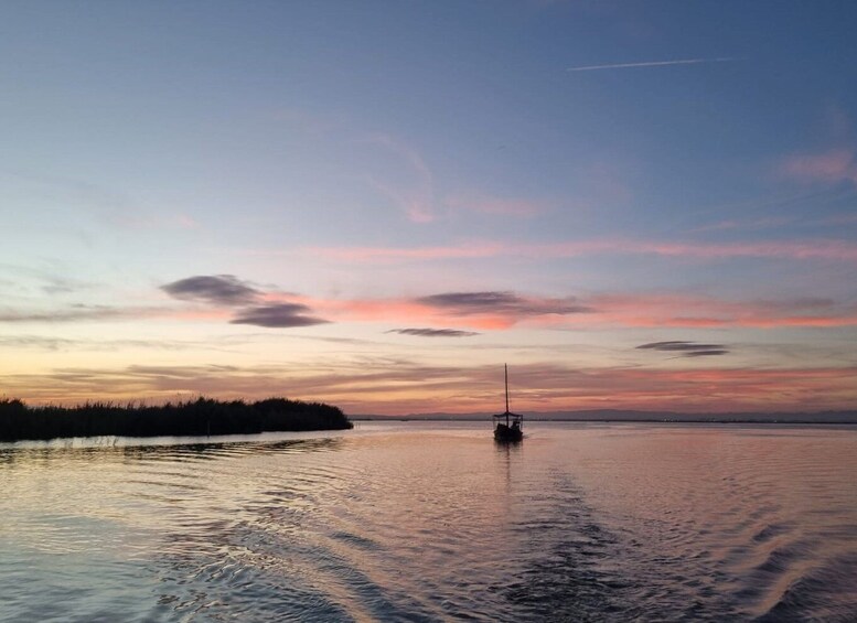 Picture 3 for Activity From Valencia: Albufera Day Trip with Boat Tour and Transfer