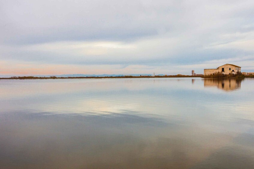 Picture 2 for Activity From Valencia: Albufera Day Trip with Boat Tour and Transfer