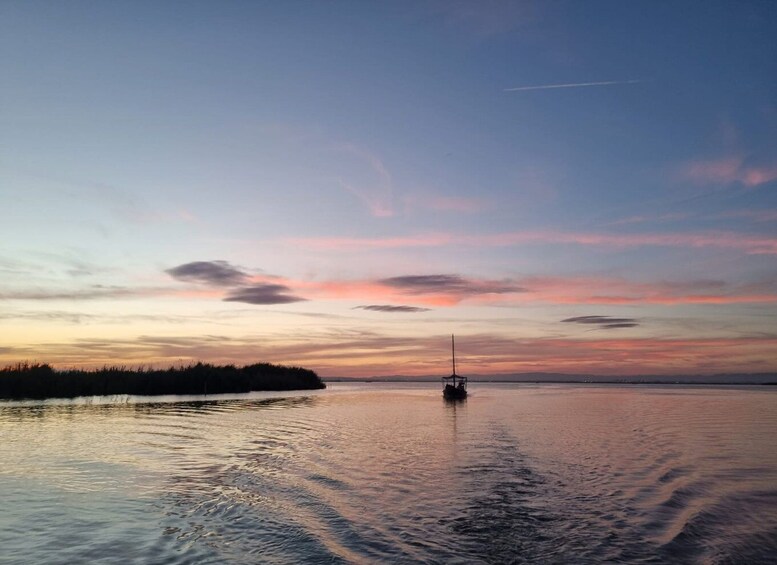 Picture 1 for Activity From Valencia: Albufera Day Trip with Boat Tour and Transfer