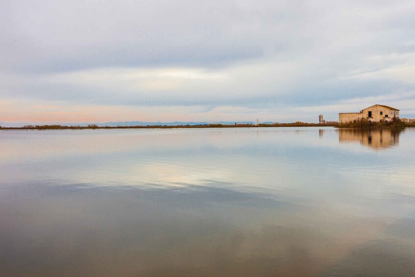 Picture 3 for Activity From Valencia: Albufera Day Trip with Boat Tour and Transfer