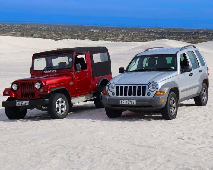 Picture 2 for Activity ATLANTIS DUNES JEEP 4X4 TOUR & CLASSIC SANDBOARDING