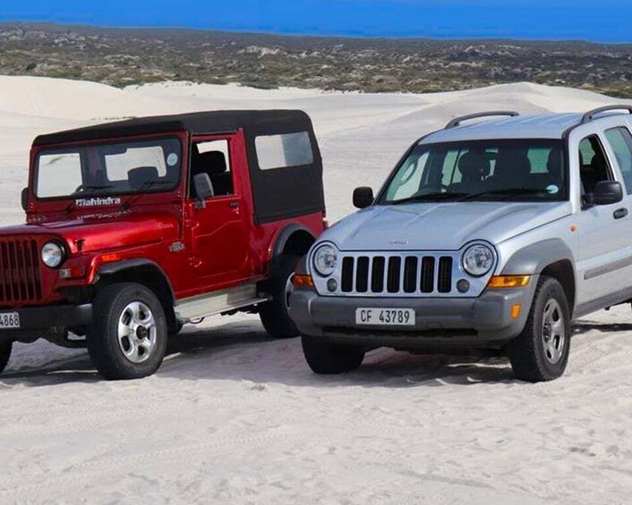 Picture 2 for Activity ATLANTIS DUNES JEEP 4X4 TOUR & CLASSIC SANDBOARDING