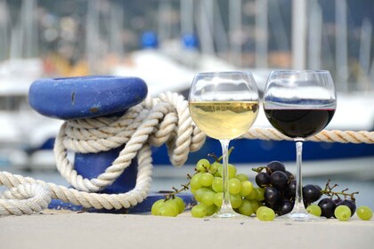 Da Sorrento: Degustazione di vini al tramonto Privet Boat Tour