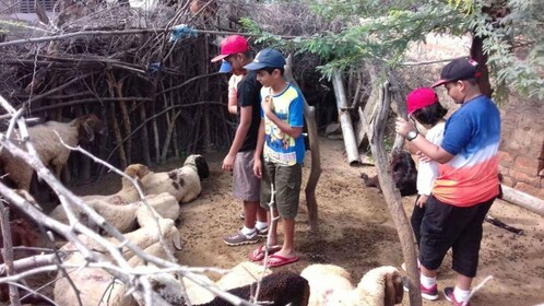 ทัวร์หมู่บ้าน Bishnoi Safari หนึ่งวัน