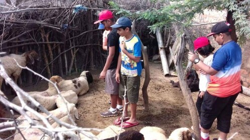 Safari de un día en Bishnoi Village