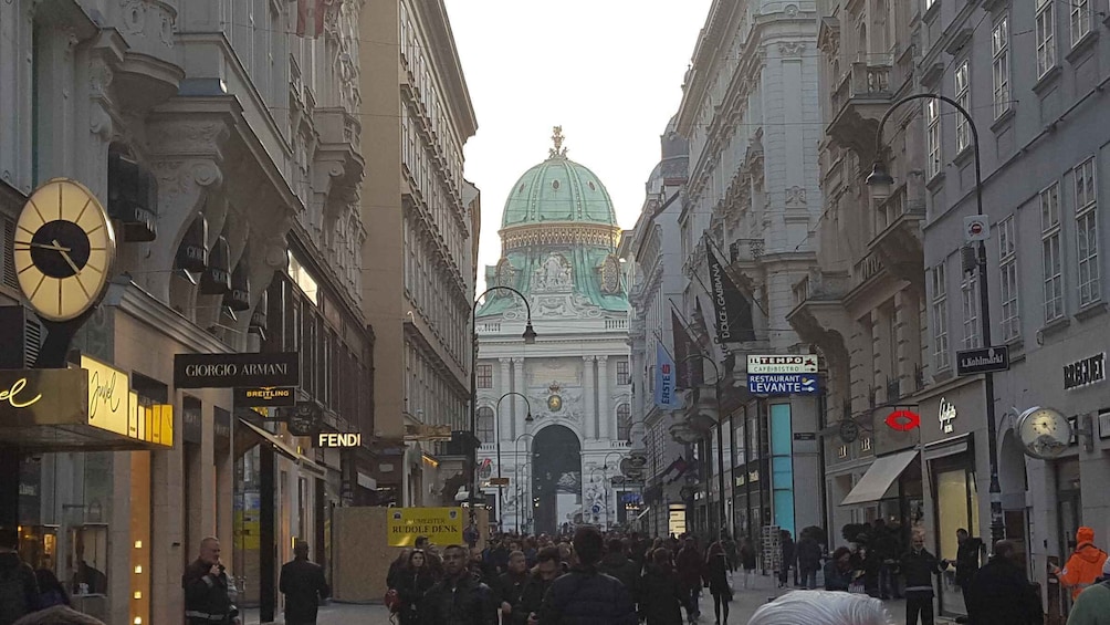 Picture 5 for Activity Vienna: Schönbrunn Palace and City Center Guided Tour