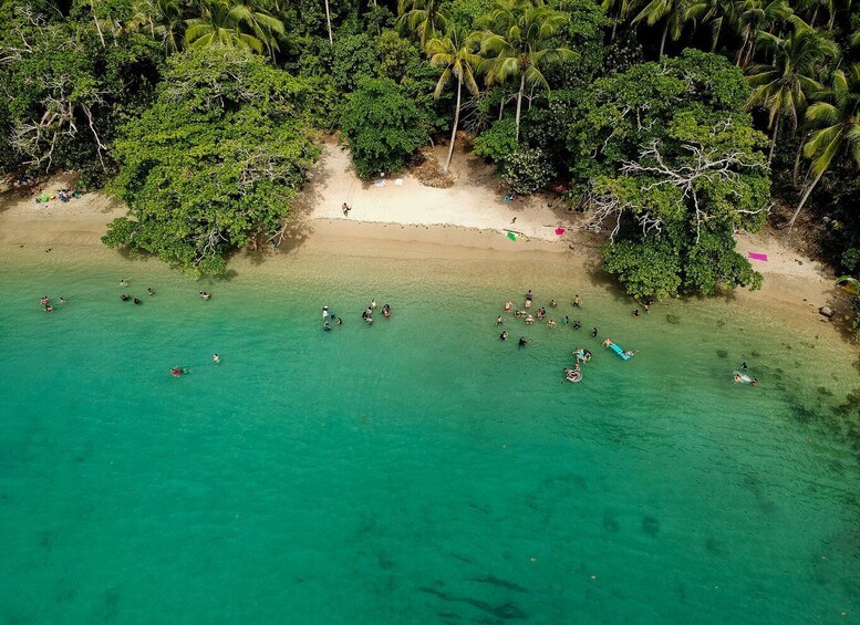 Picture 4 for Activity Historico Portobelo y Venas Azules