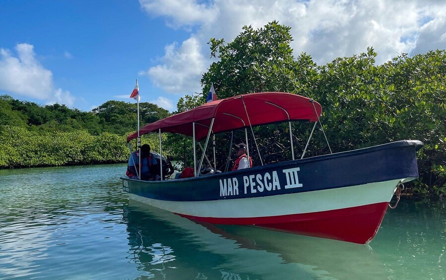 Picture 7 for Activity Historico Portobelo y Venas Azules