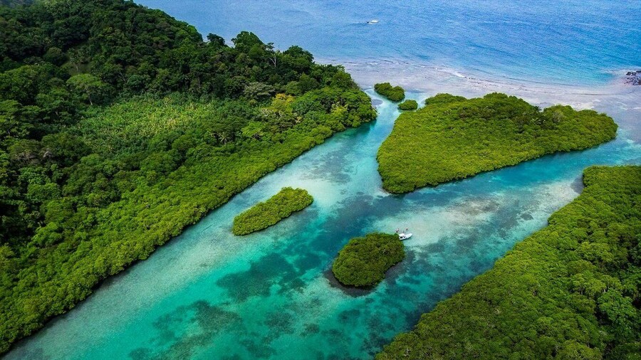 Historico Portobelo y Venas Azules